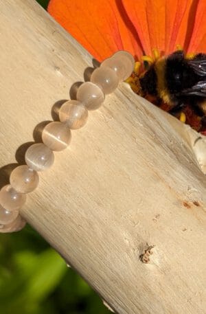 Kattenoog armband beige 8 mm