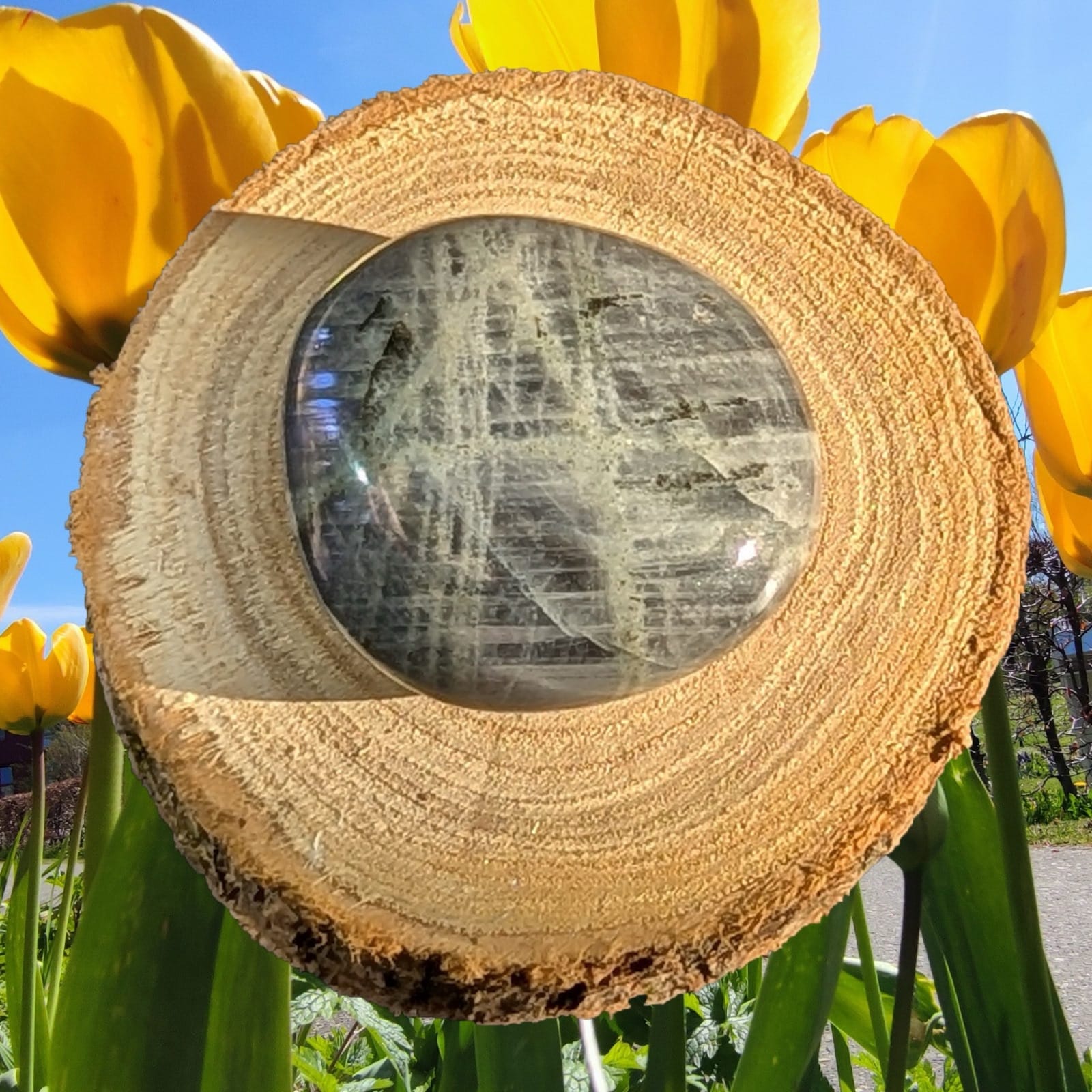 labradoriet palmsteen