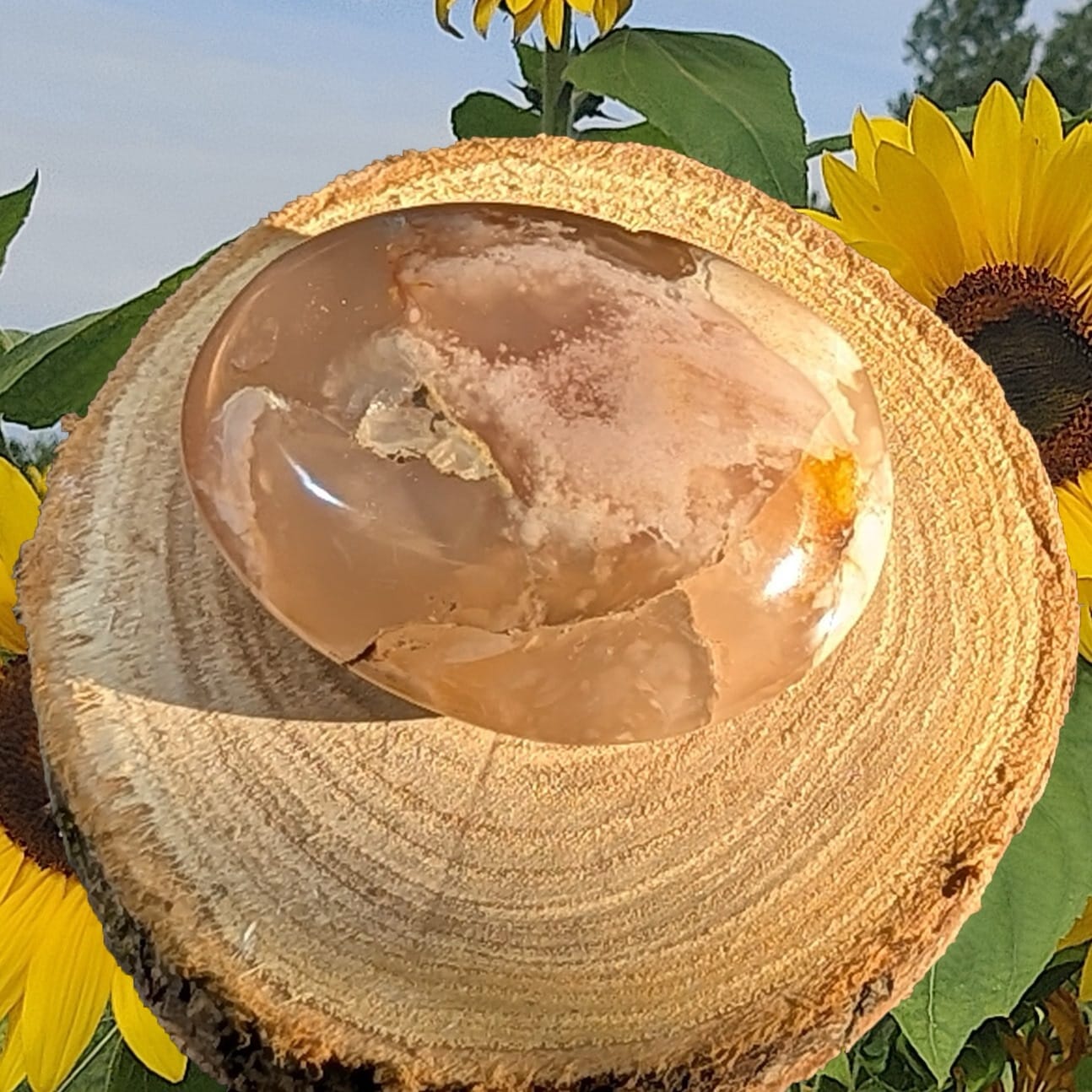 Bloemagaat Palmsteen - Afbeelding 2