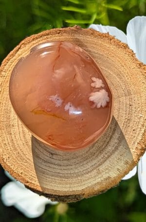 Bloemagaat Palmsteen