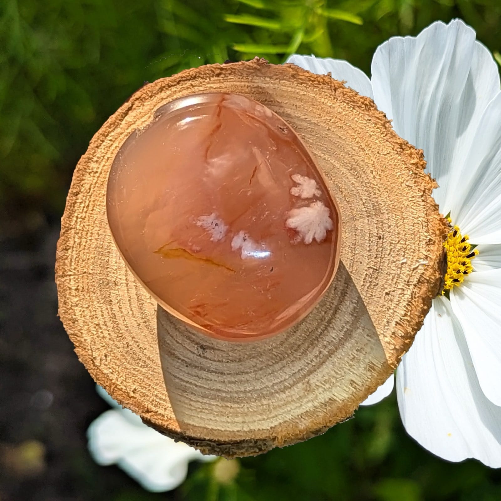 Bloemagaat Palmsteen