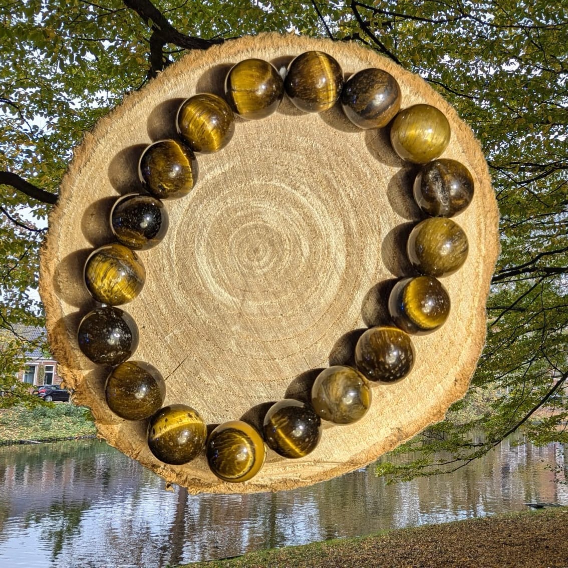 Tijgeroog Armband 10 mm