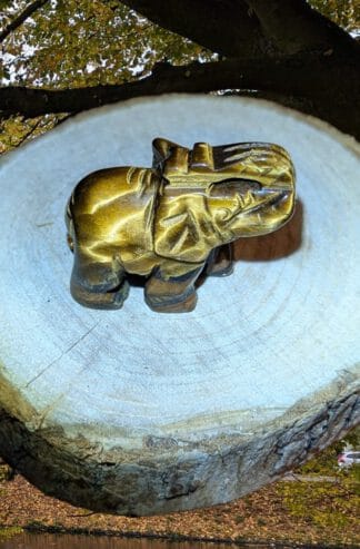 Tijgeroog beeldje olifant